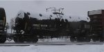 PRGX 10334